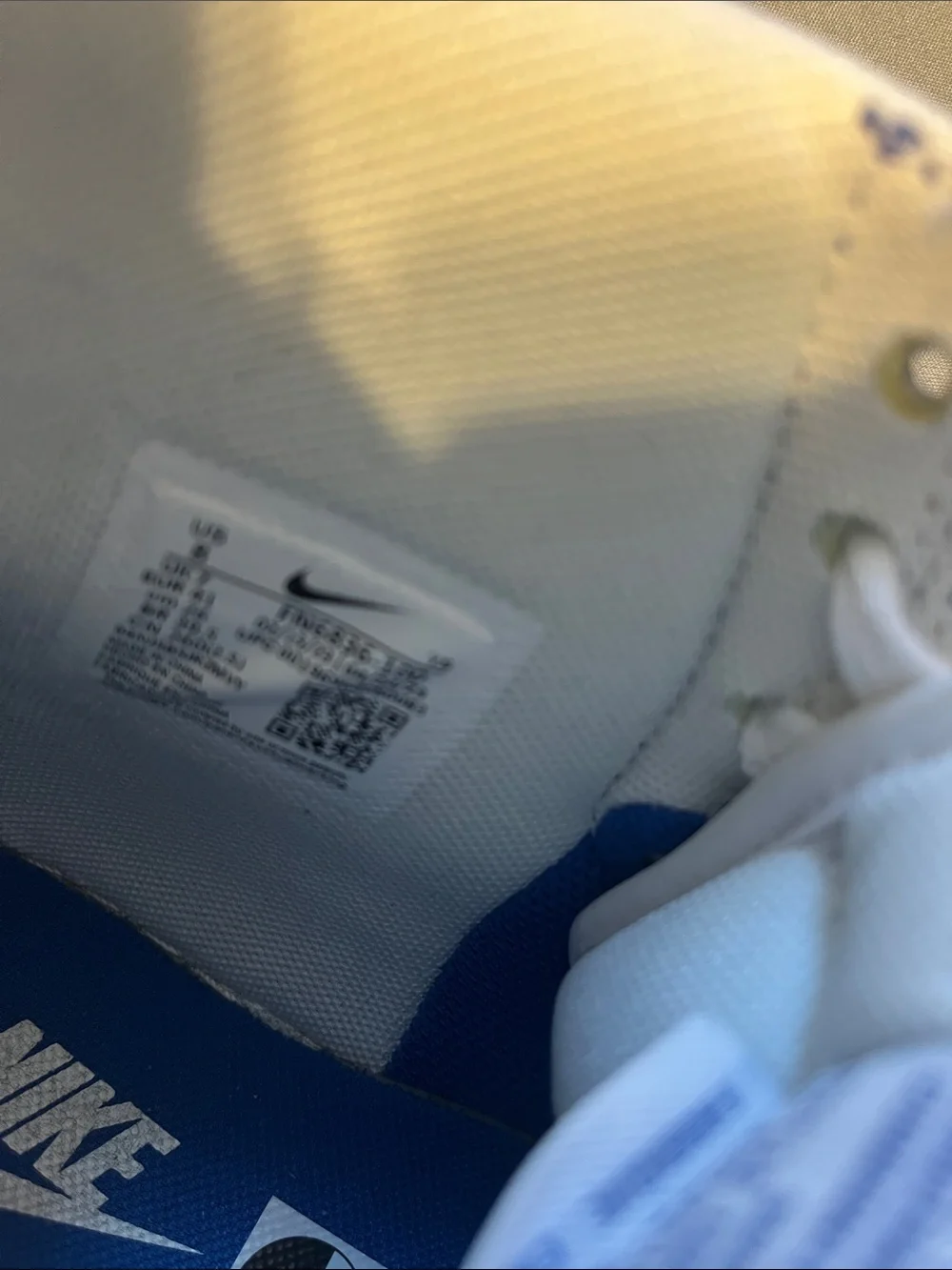 Nike Terminator High “Game Royal” sneakers